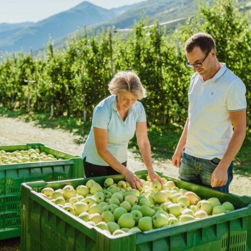Best Way to Do Eco and Agriculture