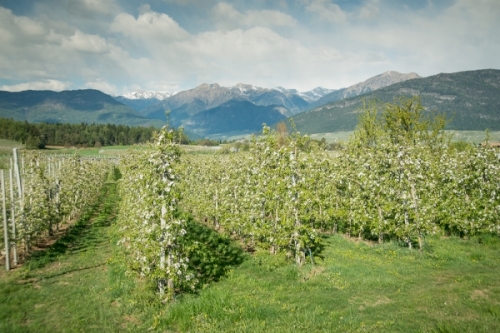 Best Way to Do Eco and Agriculture