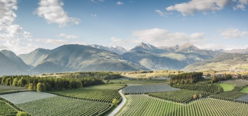 Best Way to Do Eco and Agriculture
