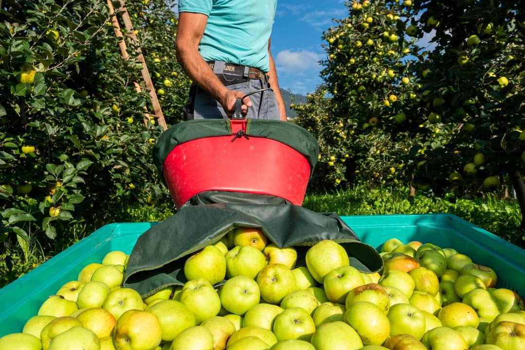 Best Way to Do Eco and Agriculture