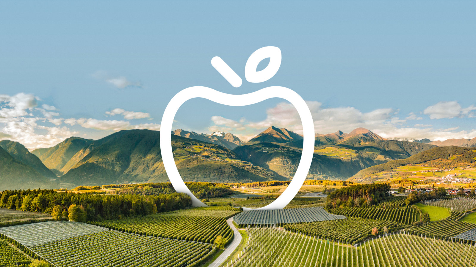 Best Way to Do Eco and Agriculture